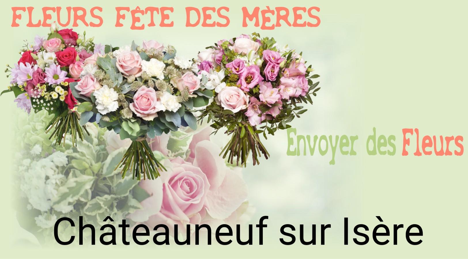 Bouquet de Fête des Mères livré à Châteauneuf-sur-Isère