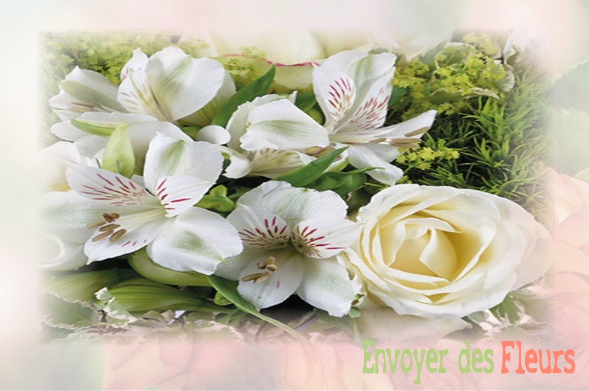 envoyer des fleurs à à CHATEAUNEUF-SUR-ISERE