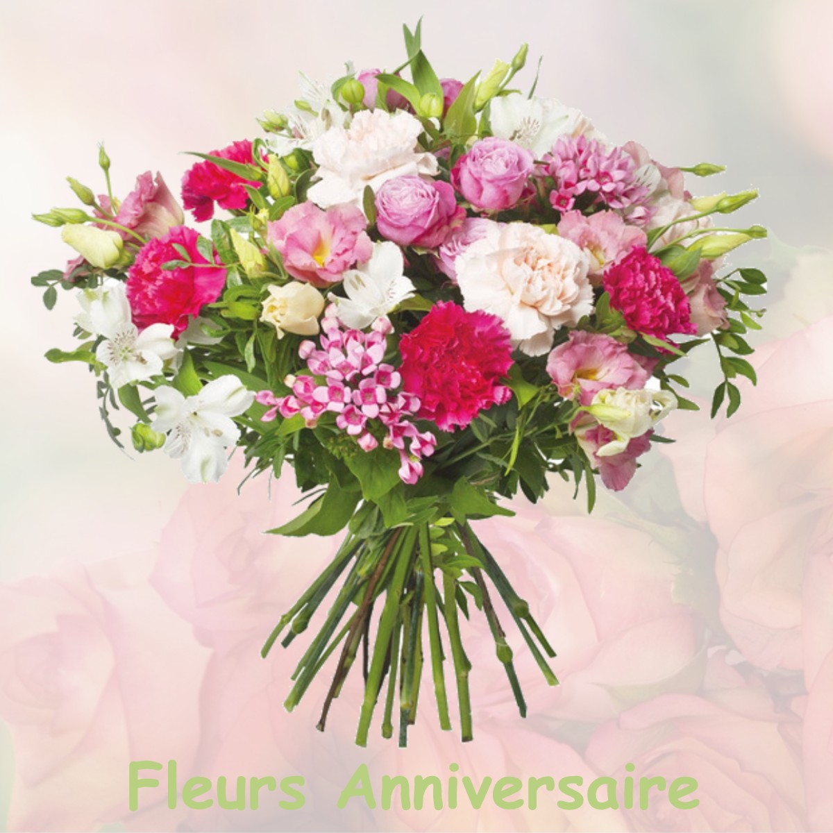 fleurs anniversaire CHATEAUNEUF-SUR-ISERE